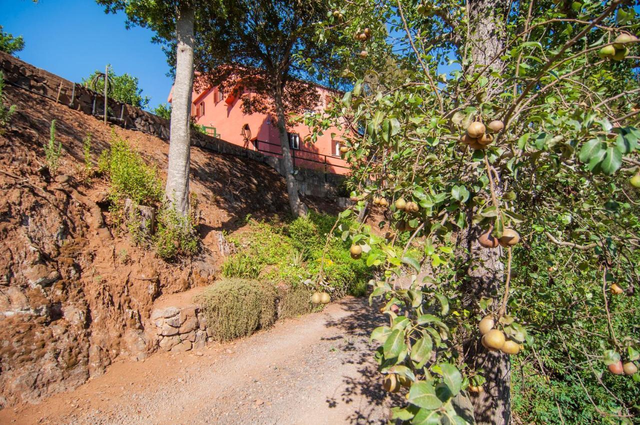 Finca El Pastel Tacoronte Exteriér fotografie