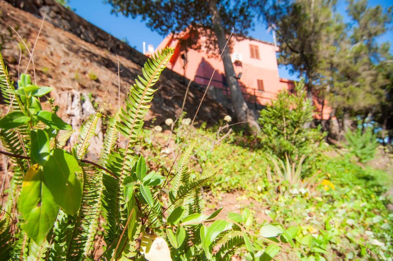 Finca El Pastel Tacoronte Exteriér fotografie